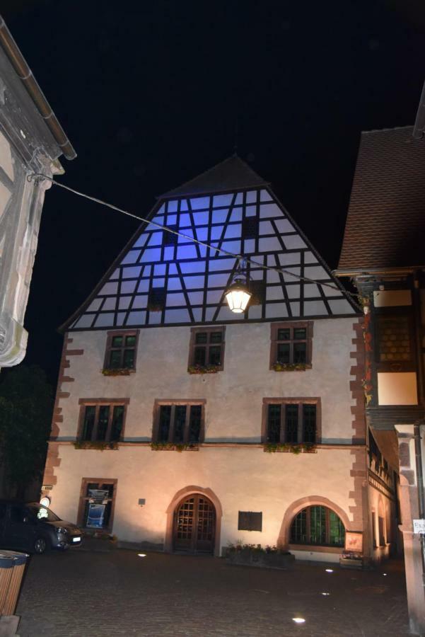 Le Cerisier Villa Kaysersberg-Vignoble Luaran gambar