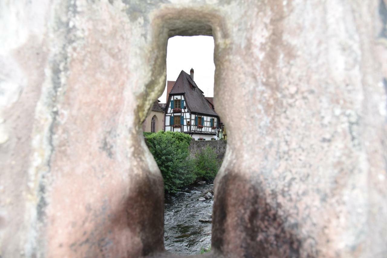 Le Cerisier Villa Kaysersberg-Vignoble Luaran gambar