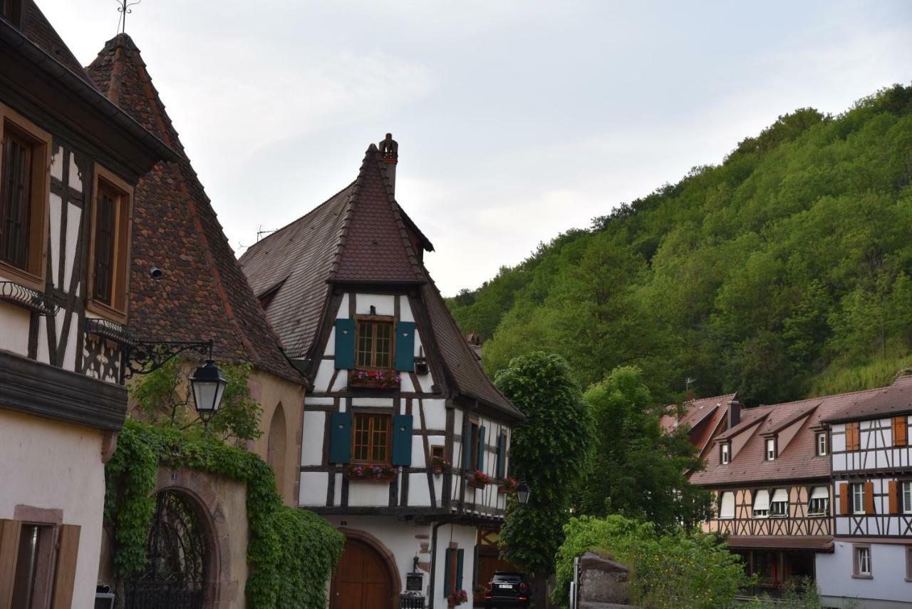 Le Cerisier Villa Kaysersberg-Vignoble Luaran gambar