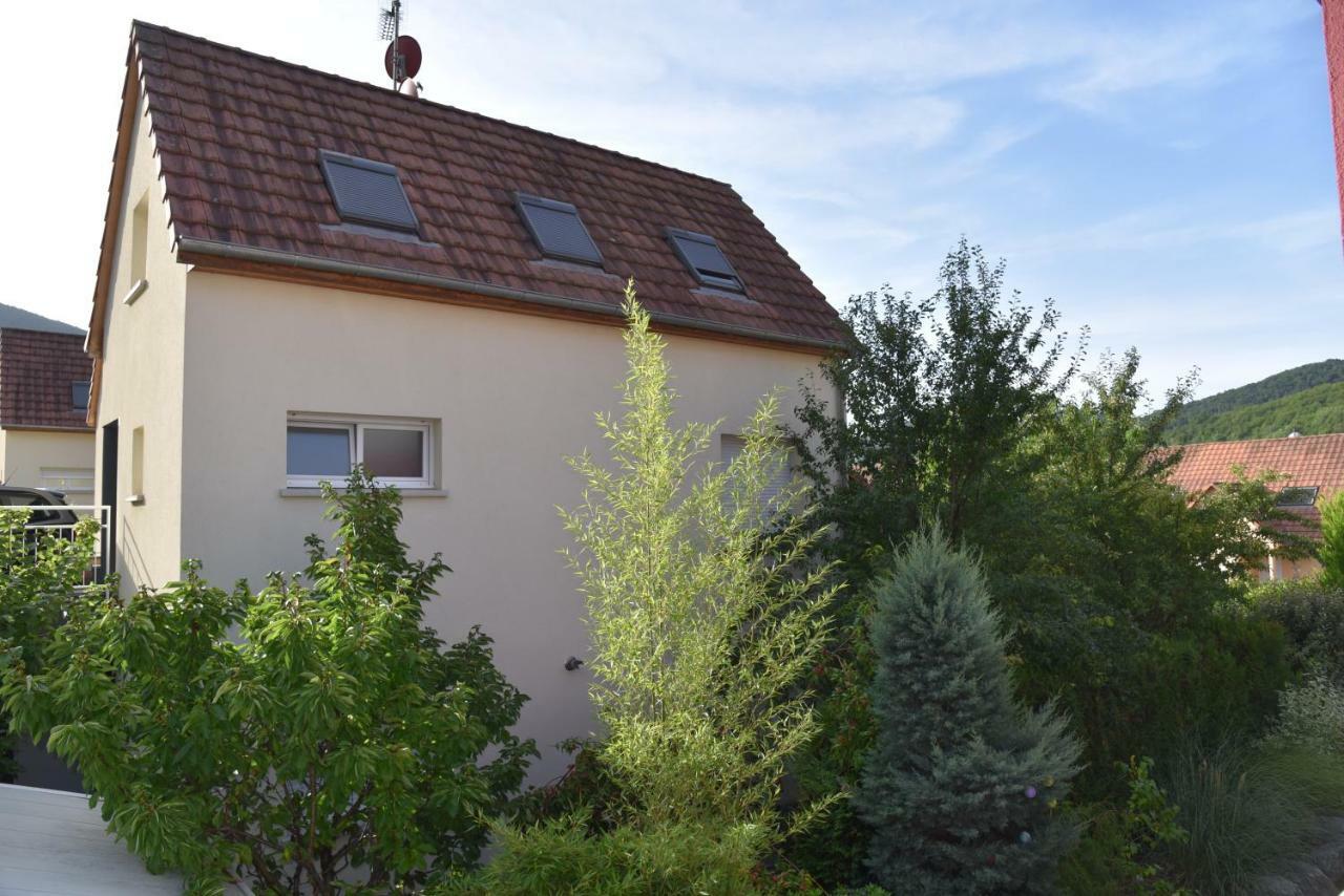 Le Cerisier Villa Kaysersberg-Vignoble Luaran gambar