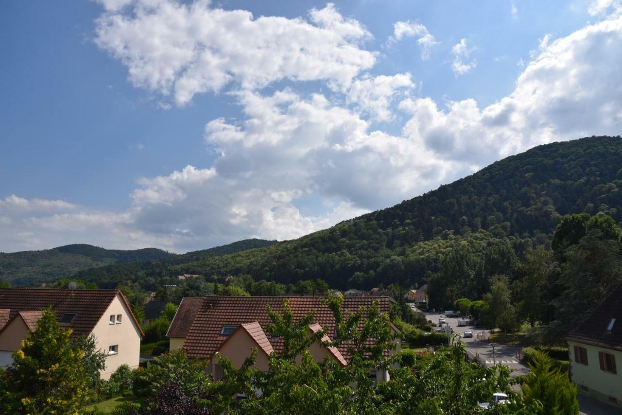 Le Cerisier Villa Kaysersberg-Vignoble Luaran gambar