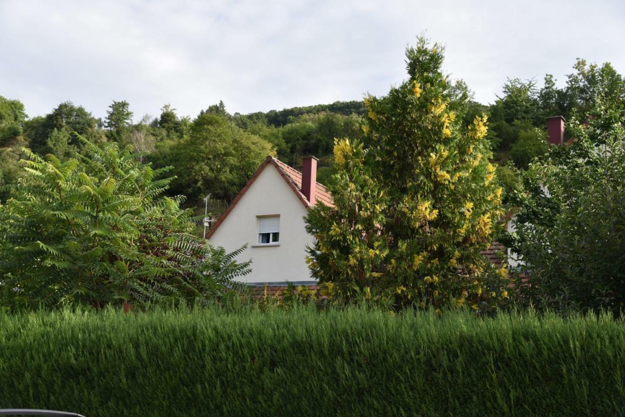 Le Cerisier Villa Kaysersberg-Vignoble Luaran gambar