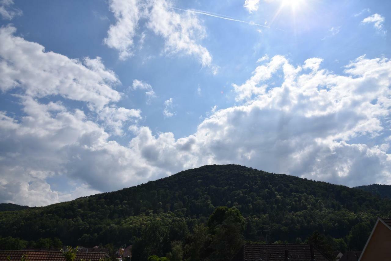 Le Cerisier Villa Kaysersberg-Vignoble Luaran gambar